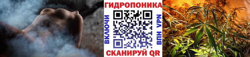 кракен как зайти  Михайловка  Бошки Шишки план 